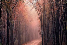 3377体育NBA：法甲｜6比1大胜圣埃蒂安 巴黎封王近在咫尺.