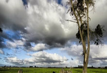 3377体育NBA：竞者 ｜ 中国跳水史上奥运首金得主官宣退休，曾因开除田亮饱受争议.