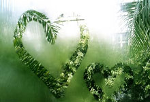 多才多艺！吴艳妮现身高校与学生打排球，发球得分后笑得好开心.